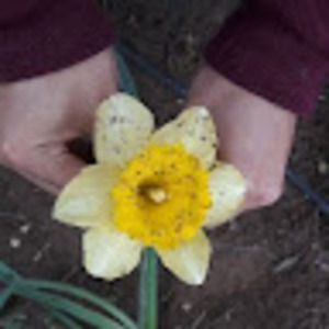 Meet your Posher, Gabriel